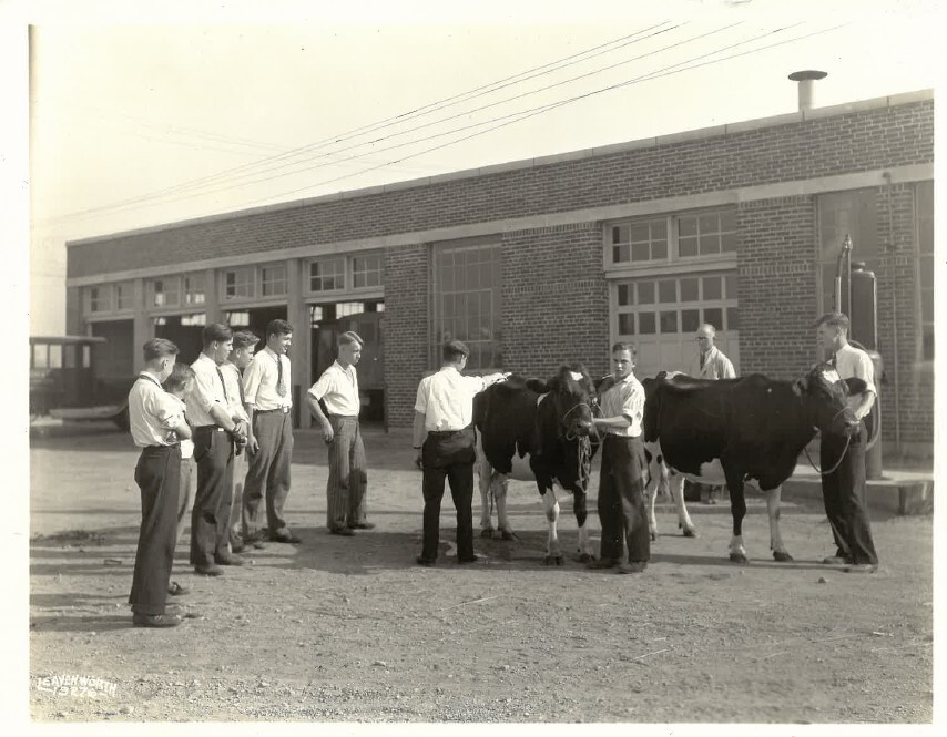 Stock Show 2